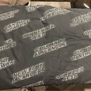 Pottery Barn NHL Twin Duvet Cover with Down comforter Gently Used Rare